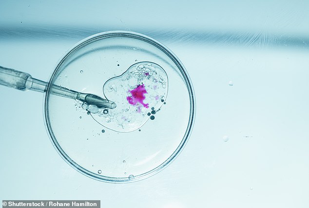 Donor Dan's Open Donor Association: Luxury Fertility Venture with High-Earning Potential