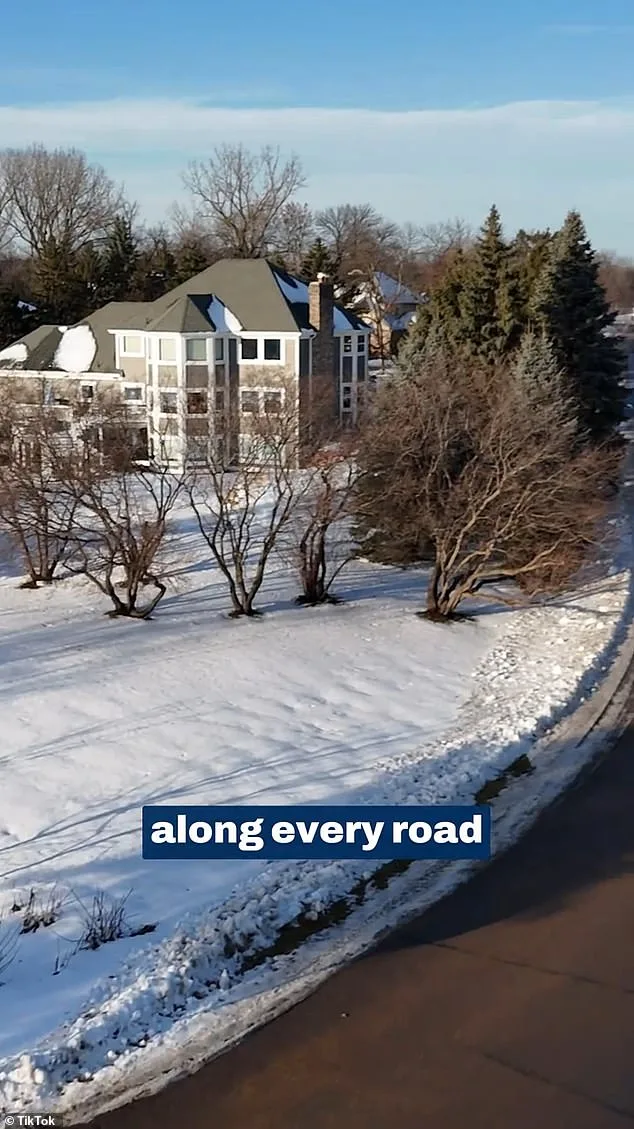 Hidden in Plain Sight: The Secretive Minnesota Town Guarded by Cameras and Google's Ban