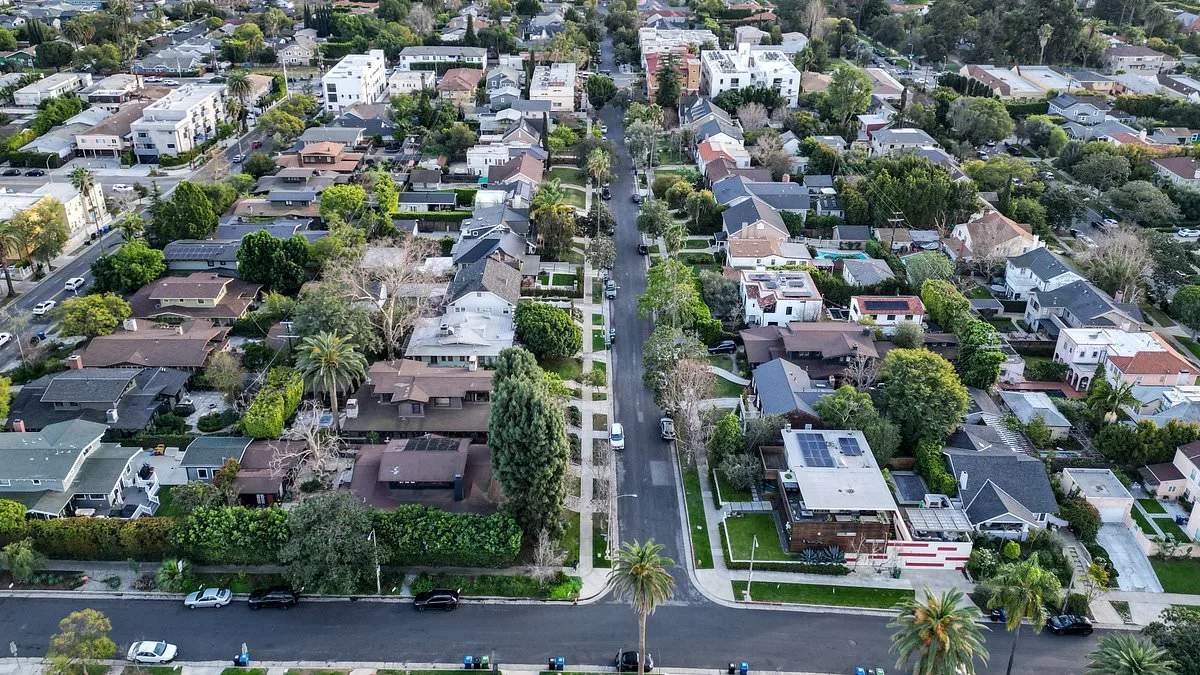 Larchmont's Quiet Crisis: Sex Work Alters the Rhythm of a Gentrified Neighborhood's Streets