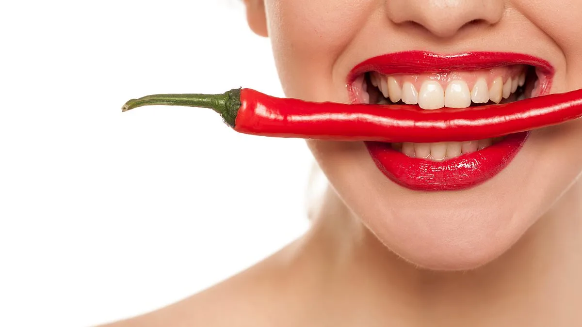 The Science of Libido: How Diet, Stress, and Nutrition Influence Sexual Desire and Beyond