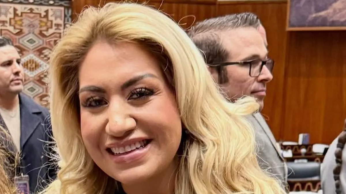 Tucson's Nancy Guthrie Disappearance Sparks Public Frenzy and Official Frustration