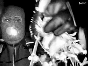 Trump Vows Death Penalty for Nancy Guthrie's Kidnappers as FBI Discovers Matching Glove in Tucson Case