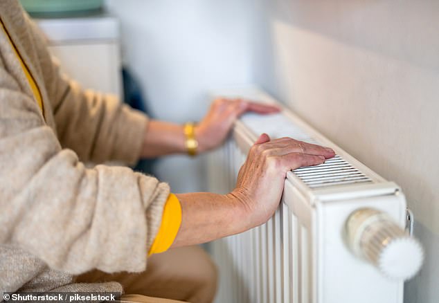 UK Report Links Pensioner Fuel Allowance Cuts to Surge in Cold-Related Elderly Deaths