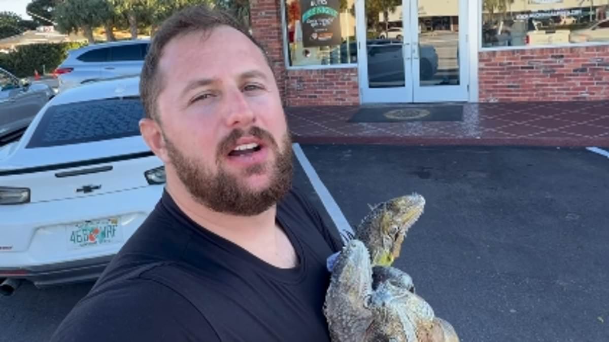 Florida Pizza Shop Sparks Outrage with Iguana Meat Prank After Cold Snap