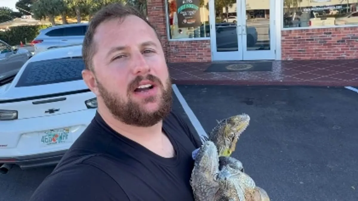 Florida Pizza Shop Sparks Outrage with Iguana Meat Prank After Cold Snap