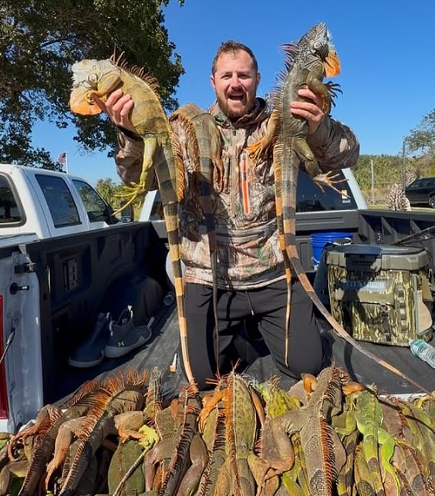 Florida Pizza Shop Sparks Outrage with Iguana Meat Prank After Cold Snap