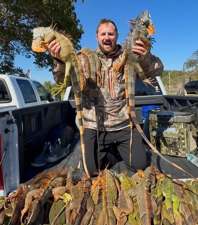 Florida Pizza Shop Sparks Outrage with Iguana Meat Prank After Cold Snap