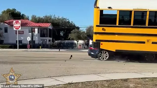 Viral Video Shows High-Speed Jaguar Plowing Into School Bus in Fort Myers