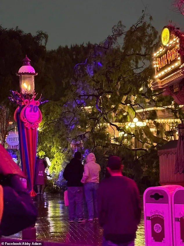 Disneyland Valentine's Nightmare: Falling Tree Strikes Couple, Raising Questions About Weather Warnings