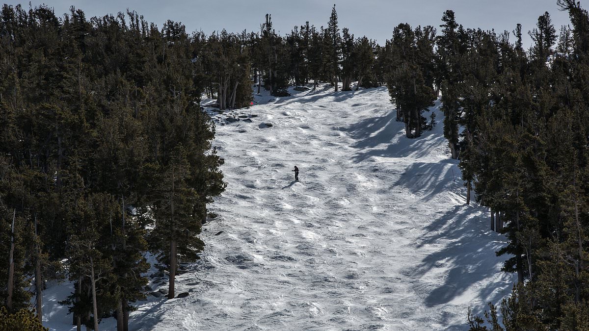 Lake Tahoe Tragedy: Two Skiers Die as Safety Protocols Face Scrutiny After Avalanche Claims Eight Lives