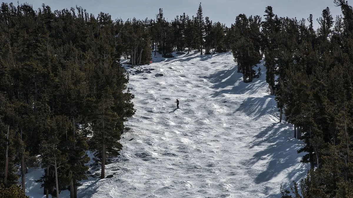 Lake Tahoe Tragedy: Two Skiers Die as Safety Protocols Face Scrutiny After Avalanche Claims Eight Lives