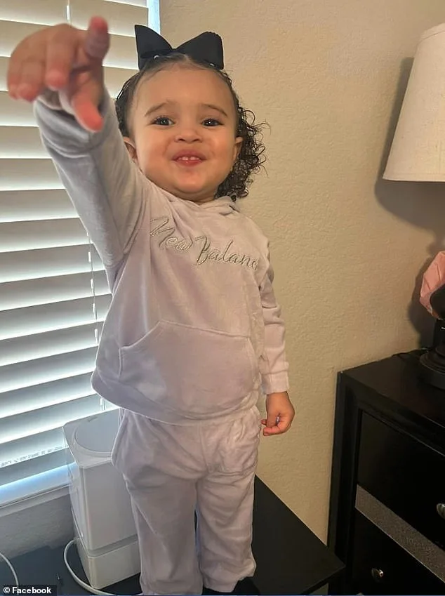 Heroic Security Guard and Community Prevent Tragedy in Toddler's Abduction