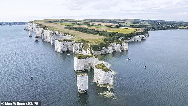 Father's Reckless Choice at Old Harry Rocks Avoids Tragedy