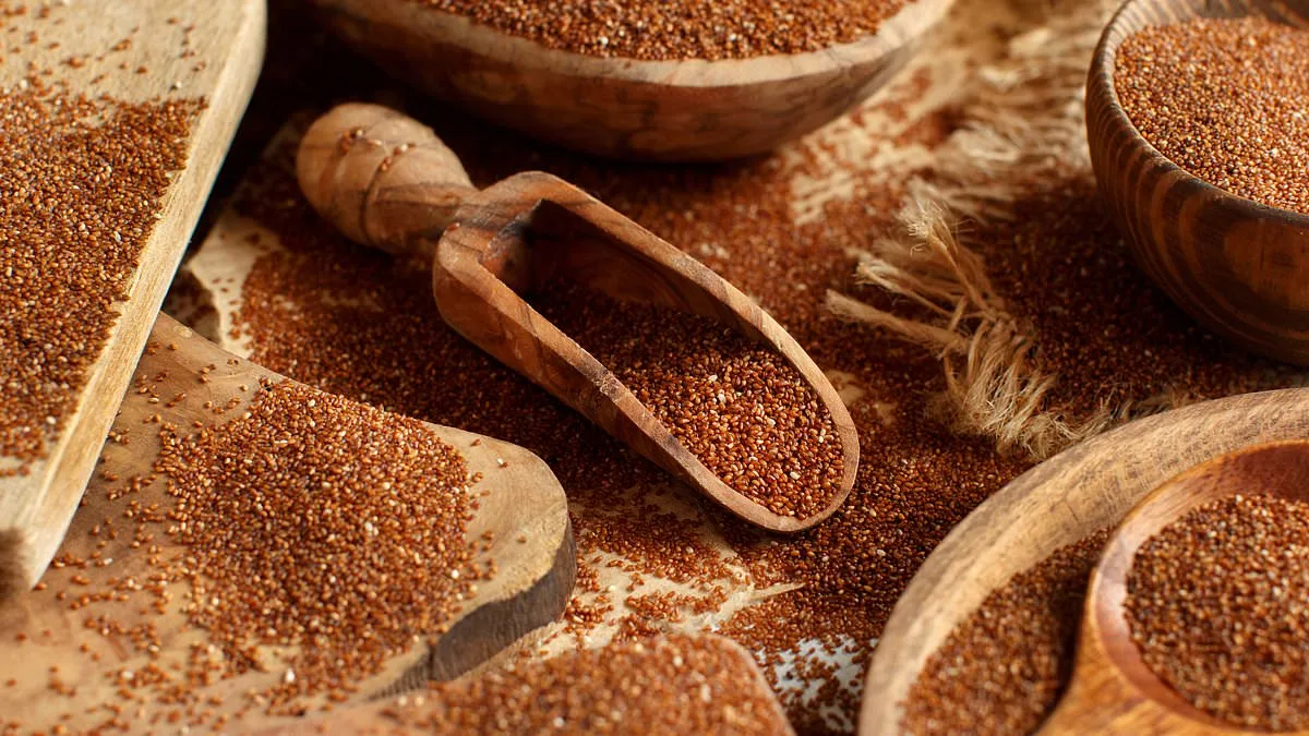 Teff: The Nutrient-Dense Grain with All Nine Essential Amino Acids Gains Global Recognition