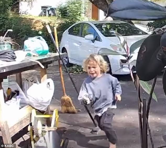 Three-Year-Old's Terrifying Coyote Chase Shocks Southern California Neighborhood