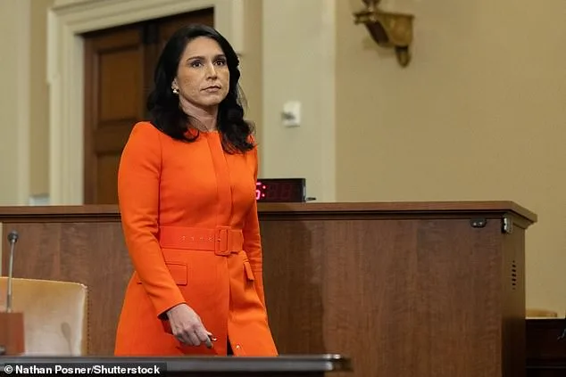 Trump's Administration Accused of Withholding Whistleblower Complaint Against Gabbard Using Executive Privilege