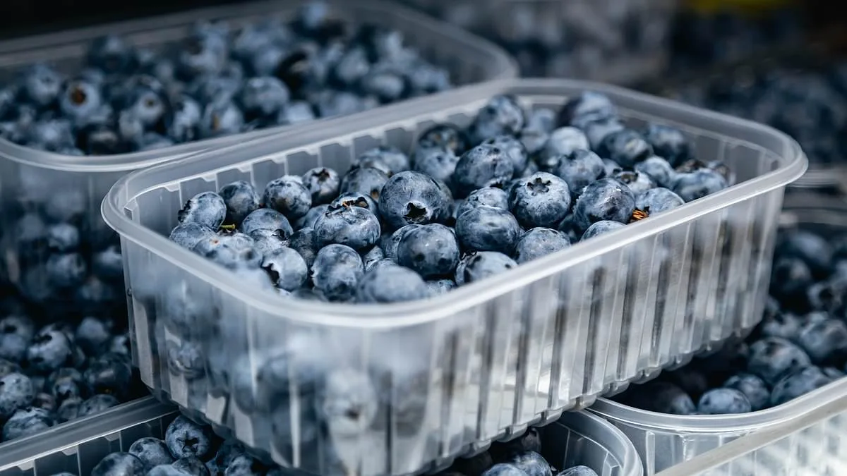 Urgent Recall: FDA Labels Blueberries with Highest Risk Level Over Deadly Listeria Contamination