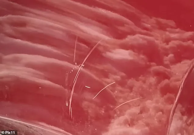 Queens Family Confronts Neighbor Who Deliberately Piled Snow on SUV During Blizzard, Then Returned to Repeat