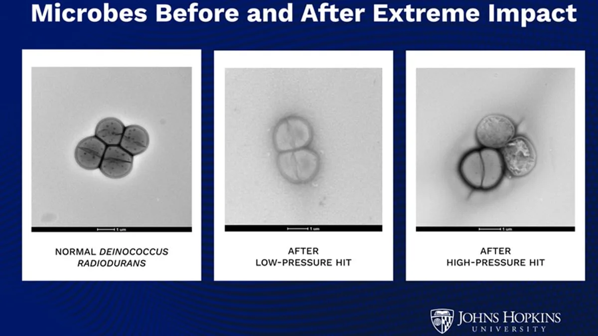 Alien Microbes: Asteroid Impacts Could Enable Interplanetary Travel