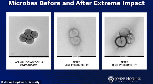 Alien Microbes: Asteroid Impacts Could Enable Interplanetary Travel