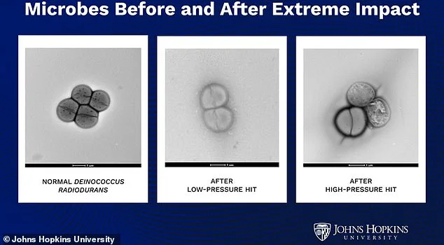 Alien Microbes: Asteroid Impacts Could Enable Interplanetary Travel