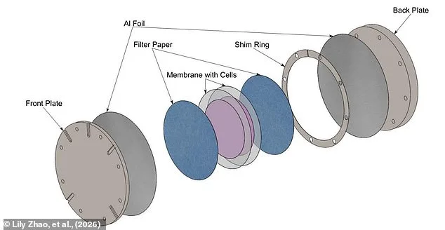 Alien Microbes: Asteroid Impacts Could Enable Interplanetary Travel