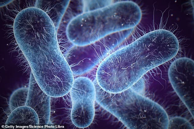 Drug-Resistant Typhoid Resurges, Sparking Global Health Crisis