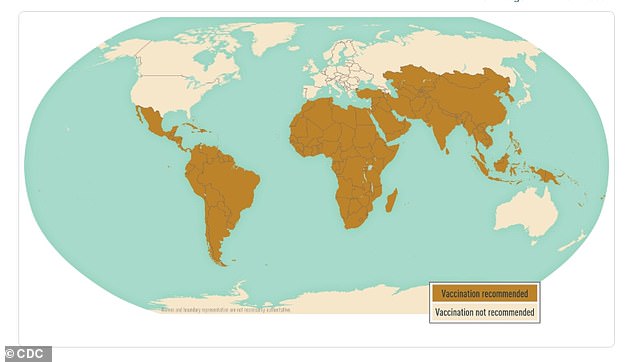 Drug-Resistant Typhoid Resurges, Sparking Global Health Crisis