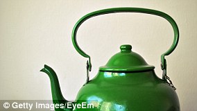 Save the Moths: UK Gardeners Urged to Tolerate Caterpillar Chaos to Reverse Population Decline