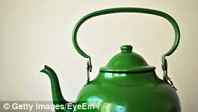 Save the Moths: UK Gardeners Urged to Tolerate Caterpillar Chaos to Reverse Population Decline