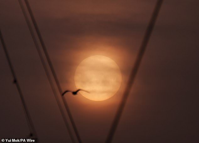 Blood Rain Sweeps UK as Saharan Dust Plume Paints Skies in Crimson