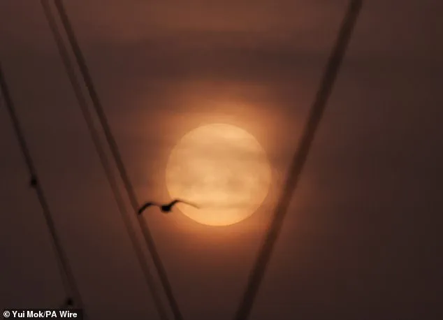 Blood Rain Sweeps UK as Saharan Dust Plume Paints Skies in Crimson