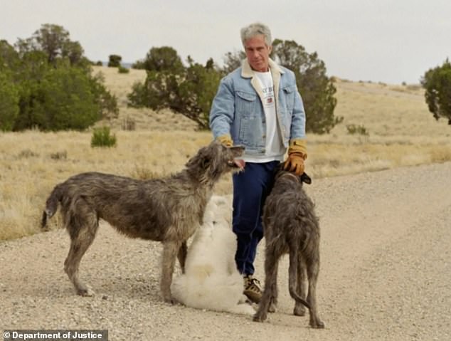 Daily Mail Exposes Brice and Karen Gordon's 17-Year Secret Involvement in Epstein's Zorro Ranch