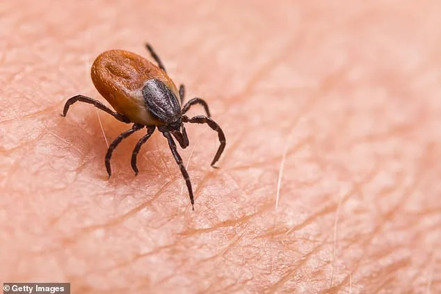 Dr. Robert Malone Alleges CIA's Cold War Bioweapon Experiments Tied to Modern Lyme Disease Outbreak