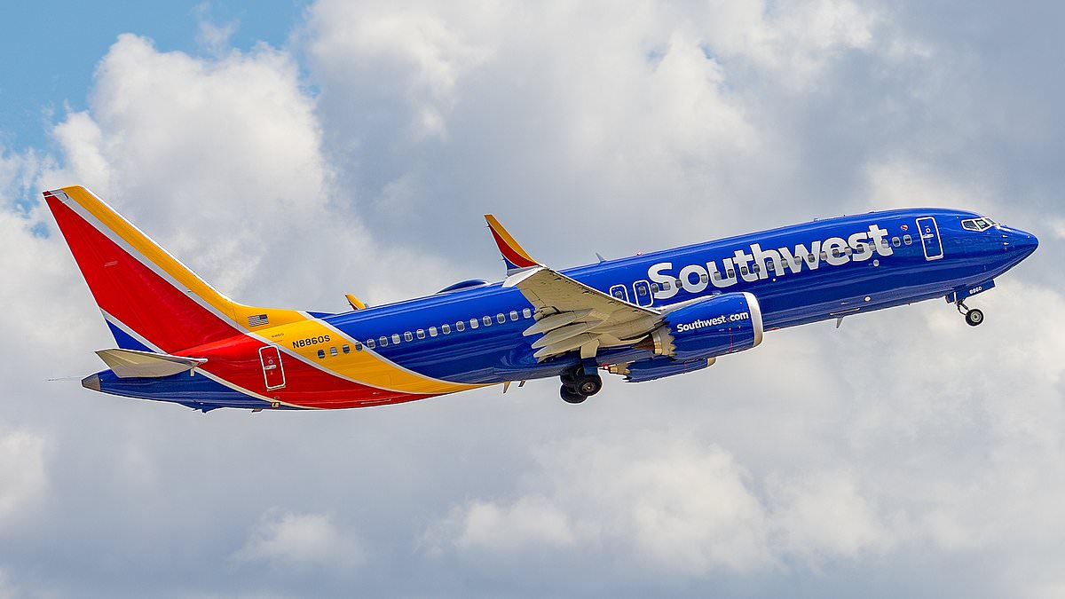 Southwest Flight Diverted Over Security Alert, Passenger Removed in Tense Mid-Air Standoff
