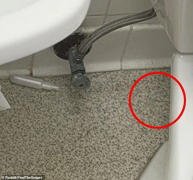 Can You Find the Hidden Invisalign in This Viral Optical Illusion? Reddit Users Are Stumped