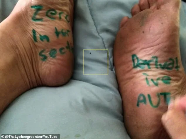 Veteran Lowell High Math Teacher Tom Chan on Leave Over Alleged Fat-Shaming and Sexist Content