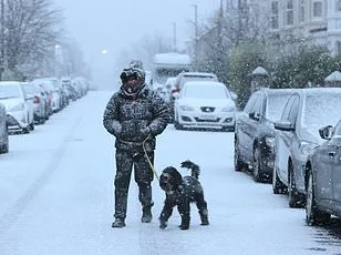 Ominous Signs: AMOC Near Collapse, Utrecht Study Warns of Climate Risks