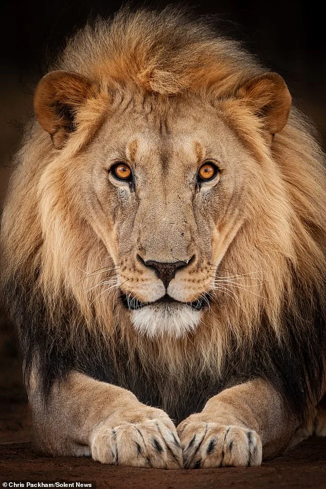 Chris Packham's *More Beautiful Than You* Exhibition Reveals 15 Years of Capturing Nature's Raw Beauty