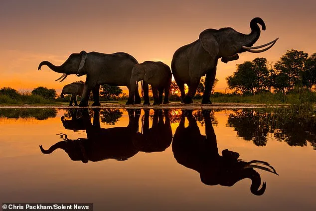 Chris Packham's *More Beautiful Than You* Exhibition Reveals 15 Years of Capturing Nature's Raw Beauty