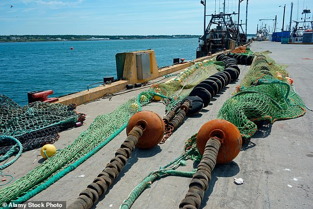 Scampi's Environmental Toll: How Bottom Trawling Threatens Marine Ecosystems and Climate Stability