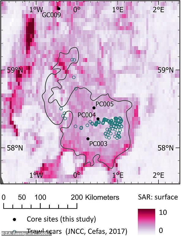 Scampi's Environmental Toll: How Bottom Trawling Threatens Marine Ecosystems and Climate Stability
