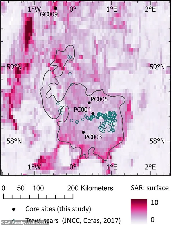 Scampi's Environmental Toll: How Bottom Trawling Threatens Marine Ecosystems and Climate Stability