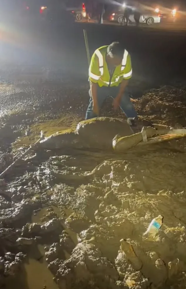 Mississippi Man Rescued After Three-Hour Struggle in Mud During ATV Event