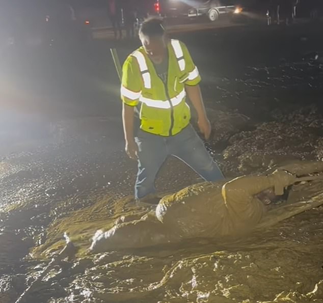 Mississippi Man Rescued After Three-Hour Struggle in Mud During ATV Event