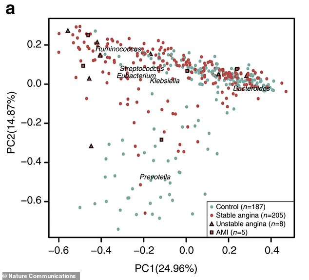 Bloating and Stomach Issues May Signal Hidden Cardiovascular Risks, New Study Reveals