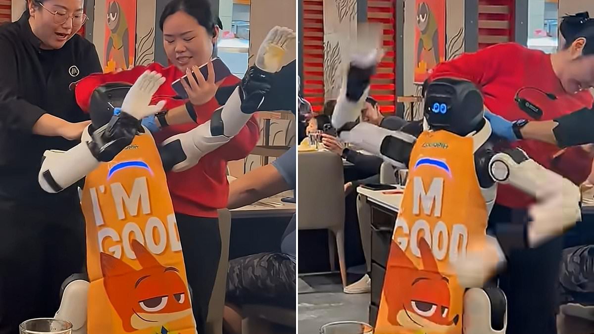 Haidilao Robot Malfunctions in San Jose, Sending Plates Flying