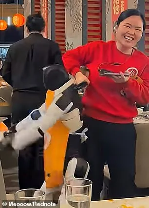 Haidilao Robot Malfunctions in San Jose, Sending Plates Flying