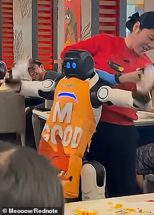 Haidilao Robot Malfunctions in San Jose, Sending Plates Flying