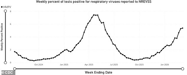 Surge in Little-Known Respiratory Virus HMPV Sparks Public Health Alarms as Cases Rise Sharply
